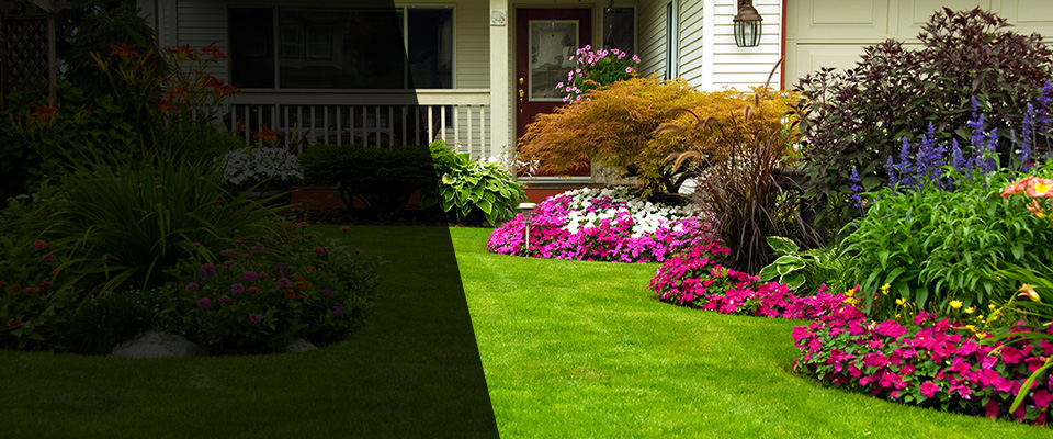 Buda Landscapers