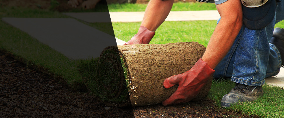 Buda Landscapers